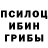 Псилоцибиновые грибы прущие грибы Wertyxan Xetmen
