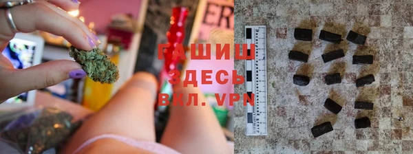 мдпв Весьегонск