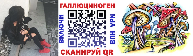 Псилоцибиновые грибы MAGIC MUSHROOMS  Ковылкино 